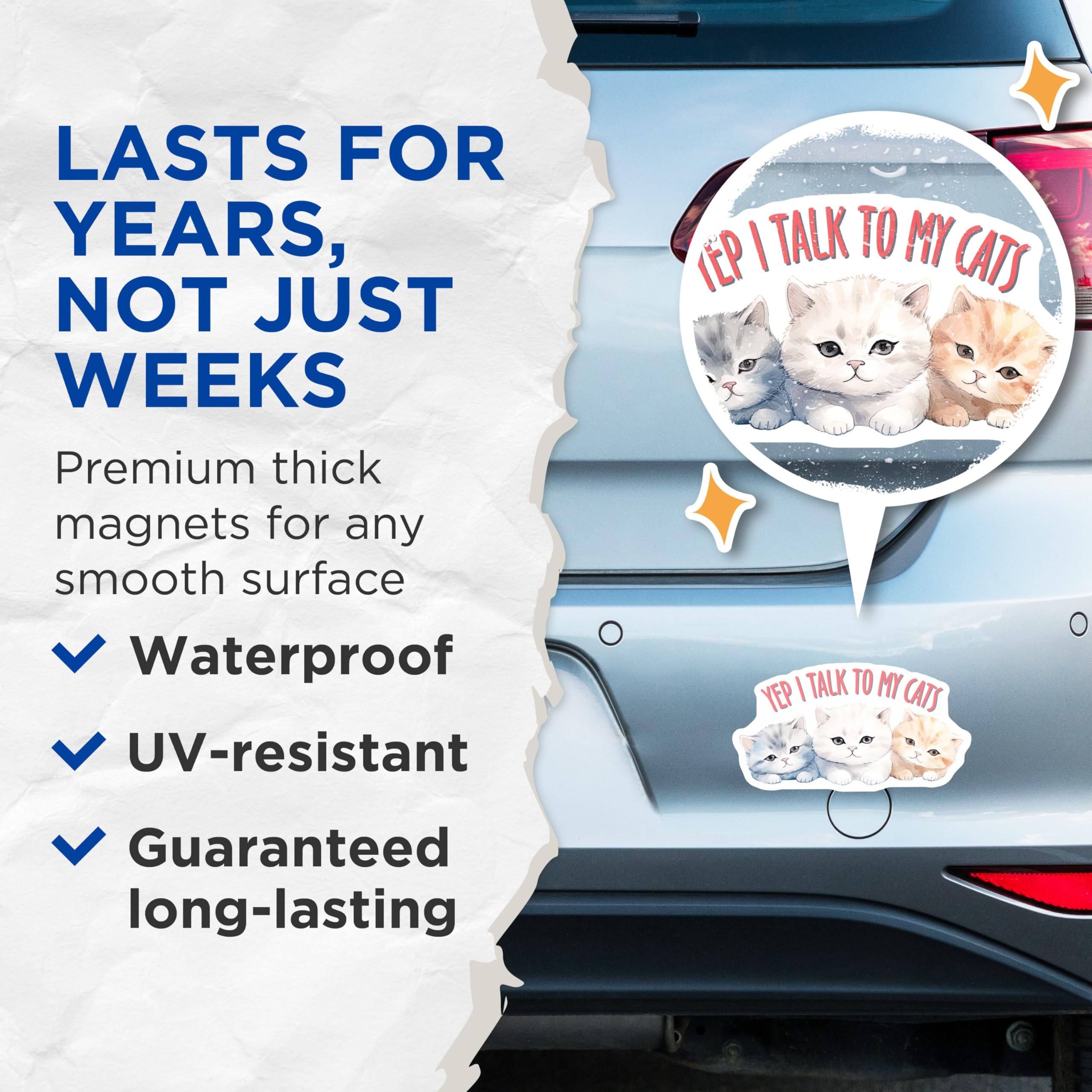 (2 Pack) Cat Lover Magnets - I Talk to My Cats Quote - Cute Kitten Refrigerator Magnets - 5" On Longest Side - Premium Magnet - for Cars, Refrigerators, Toolboxes, Lockers - Made in USA - MAG15106