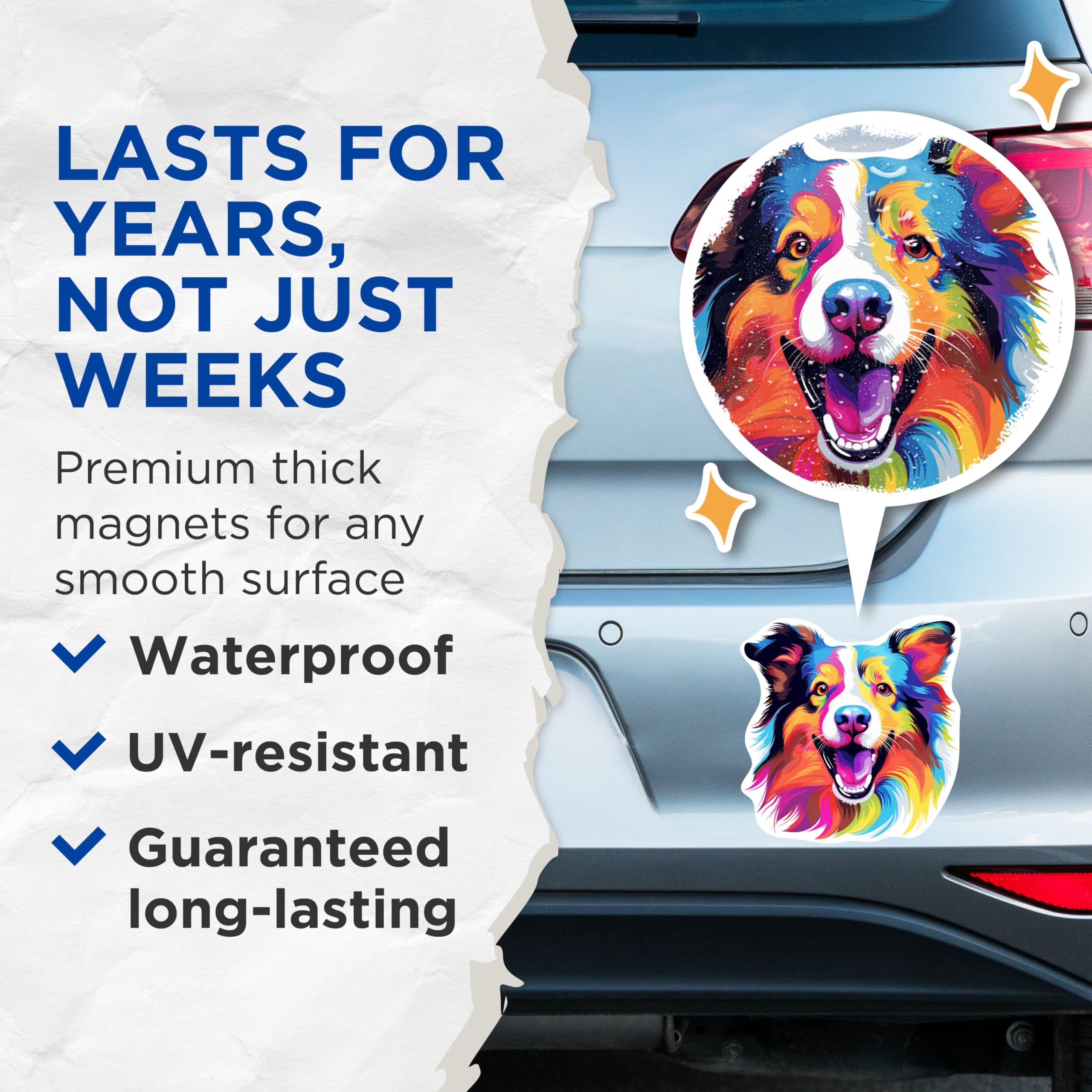 (2 Pack) Shetland Sheepdog Dog Breed Magnets - 5 Inches On Longest Side - Choose from Over 100 Dog Breeds - for Cars, Refrigerators, Toolboxes - Made in USA - MAG1947