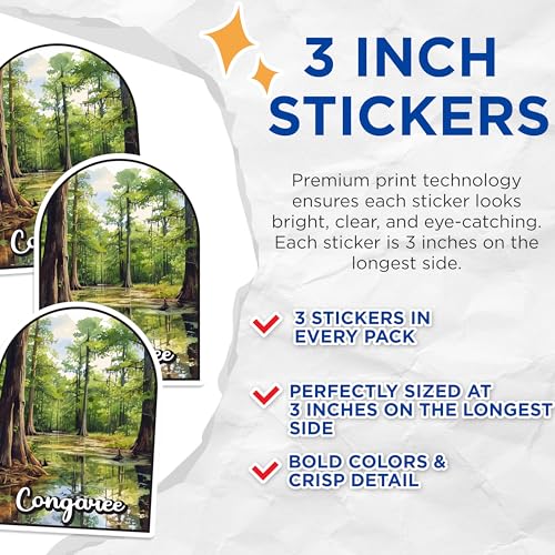 (3 Pack) Congaree National Park Decals - South Carolina Decal - Laptop Decal - 3 Inches On Longest Side - Easy Peel & Apply - Made in USA - 3MCS0431