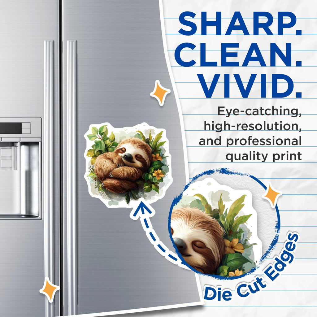 (2 Pack) Sleeping Sloth Magnets - Cute Animal Refrigerator Art - Nursery Decor Office Locker Accessory - 5 Inches On Longest Side - Thick Durable Magnet - Made in USA - MAG29688