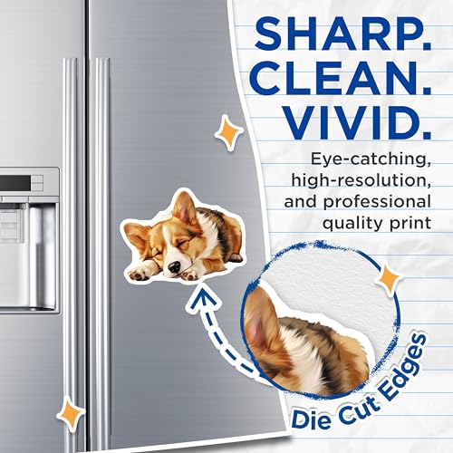(2 Pack) Corgi Fridge Decor Magnet - 5" On Longest Side - Sticks to Smooth Flat Surfaces - Made in USA - MAG10246