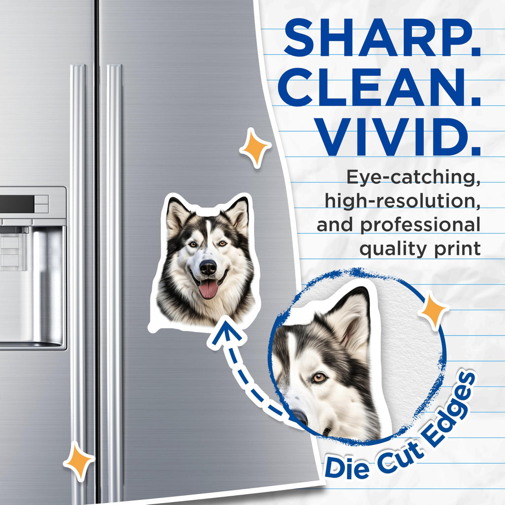 (2 Pack) Siberian Husky Dog Magnets - Alaskan Malamute Decor - Happy Pet Parent Kitchen - 5 Inches On Longest Side - Thick Durable Magnet - Made in USA - MAG28130