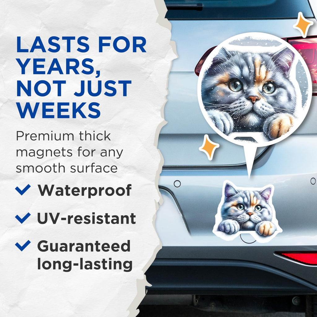 (2 Pack) Cute Cat Magnets - Kitten Fridge Decor - Adorable Pet Reminders - 5" On Longest Side - Premium Magnet - for Cars, Refrigerators, Toolboxes, Lockers - Made in USA - MAG16334