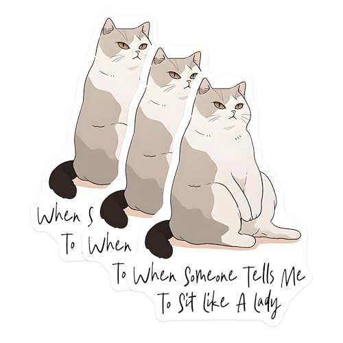(3 Pack) Funny Cat Decals - Sit Like a Lady Meme - Sassy Cat Sticker - 3 Inches On Longest Side - Easy Peel & Apply - Made in USA - 3MCS6585
