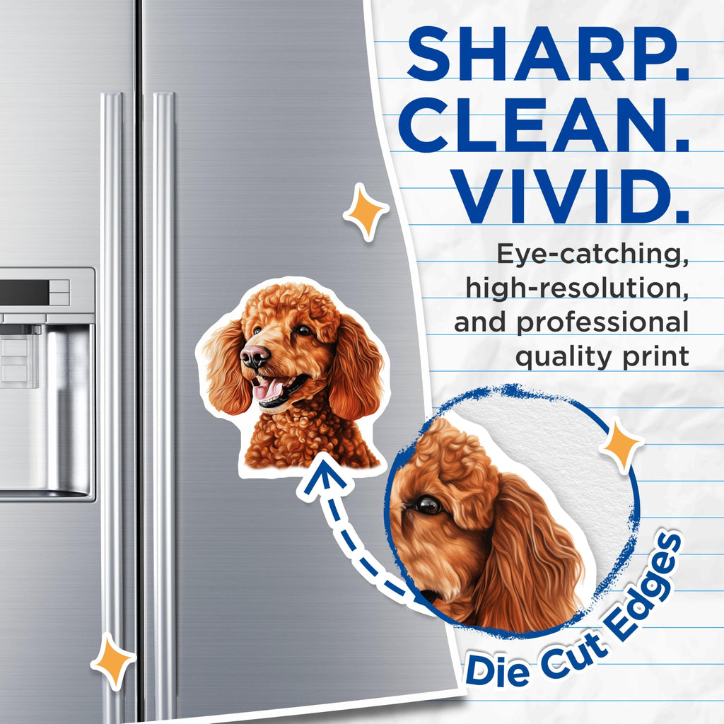 (2 Pack) Red Poodle Dog Magnets - Apricot Poodle Art - Poodle Mom Dad Owner Fridge Decor - 5 Inches On Longest Side - Thick Durable Magnet - Made in USA - MAG26322