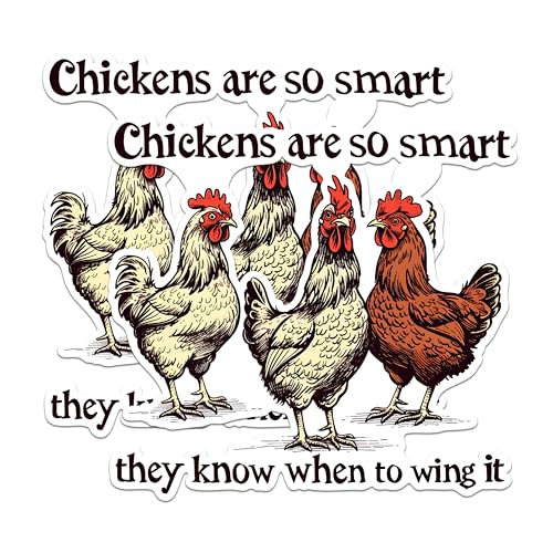 (2 Pack) Funny Chicken Stickers - Farm Animal Stickers - Hilarious Poultry Stickers Art with Clever Quotes - 5" On Longest Side - Sticks to Any Smooth Flat Surface - Made in USA - BMCS2592