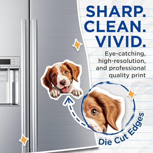 (2 Pack) Adorable Pet Decor Magnet - Animal Lovers Gift - Dog Lovers Accessories - 5" On Longest Side - Sticks to Smooth Flat Surfaces - Made in USA - MAG9889