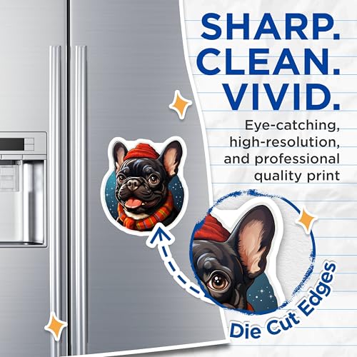 (2 Pack) French Bulldog Magnets - Dog Lover - Cute Pet Magnets - 5" On Longest Side - for Cars, Fridges, Toolboxes - Made in USA - MAG3942