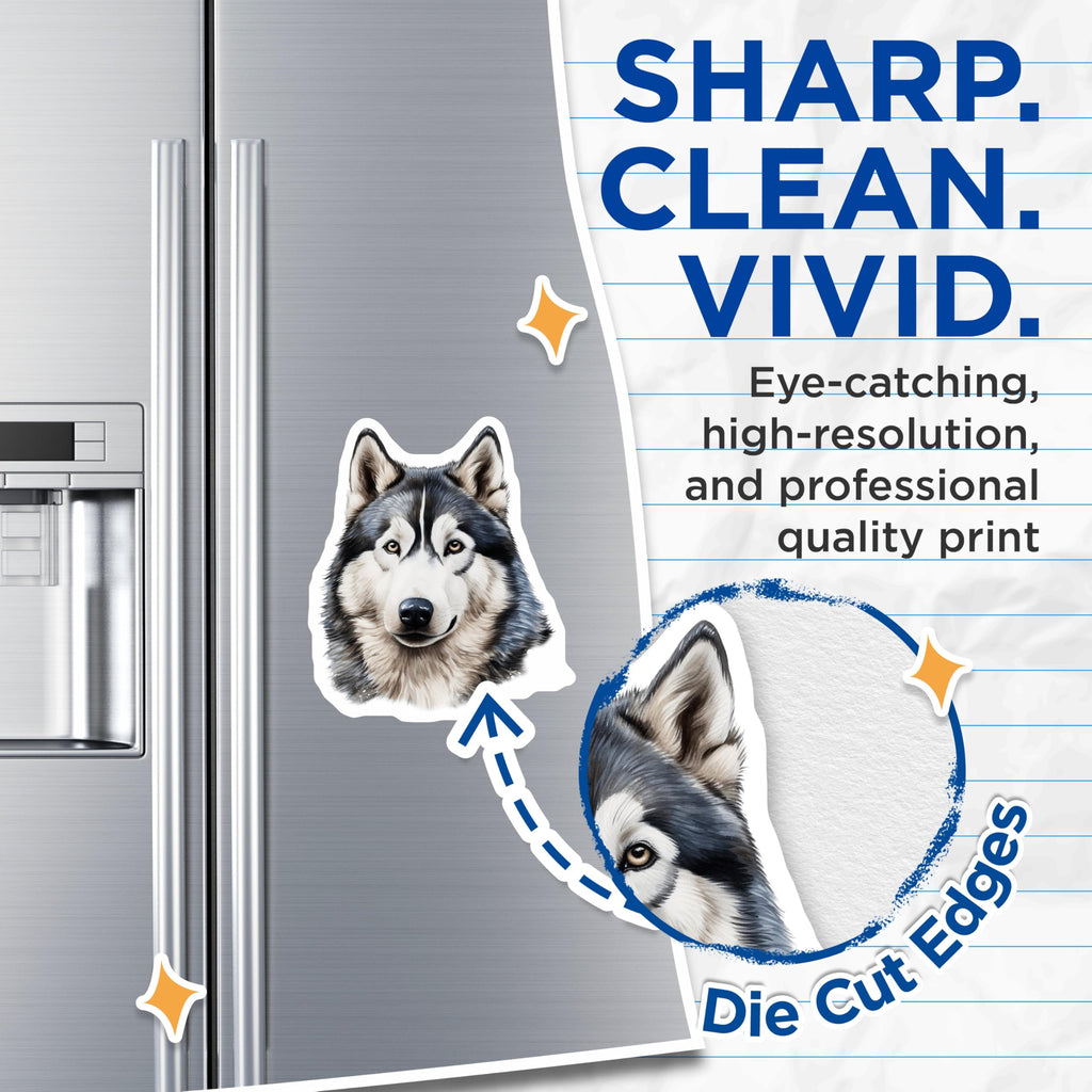 (2 Pack) Siberian Husky Magnets - Dog Lover Fridge Decor - Pet Portrait Art Home Accent - 5 Inches On Longest Side - Thick Durable Magnet - Made in USA - MAG25686