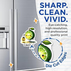 (2 Pack) The Limelight Magnets - Cute Fruit Decor - Kitchen Decorations - 5" On Longest Side - for Cars, Fridges, Toolboxes - Made in USA - MAG7585