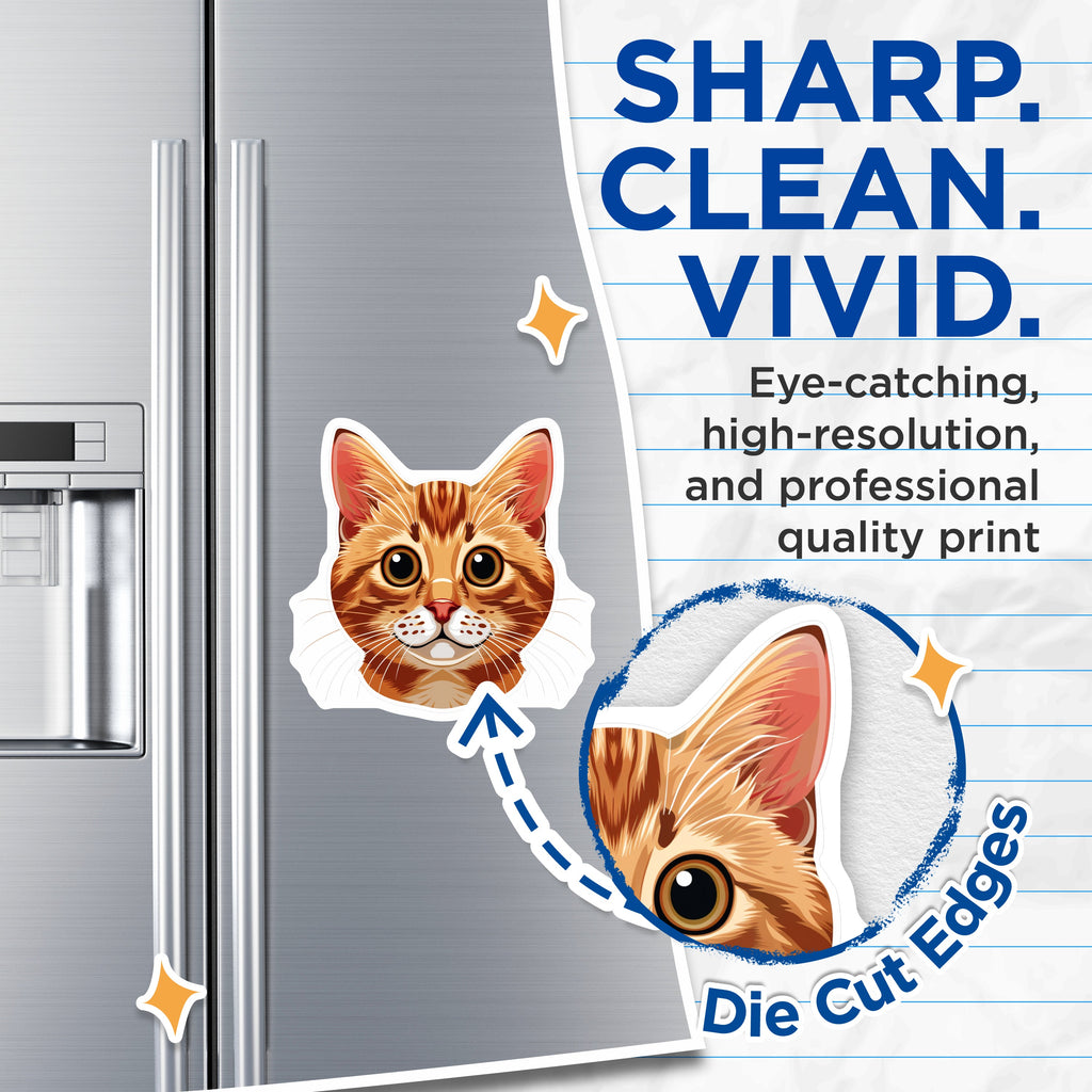 (2 Pack) Orange Tabby Cat Magnets - Cute Cat Face Decor - Pet Lover Fridge Art - 5 Inches On Longest Side - Thick Durable Magnet - Made in USA - MAG39559