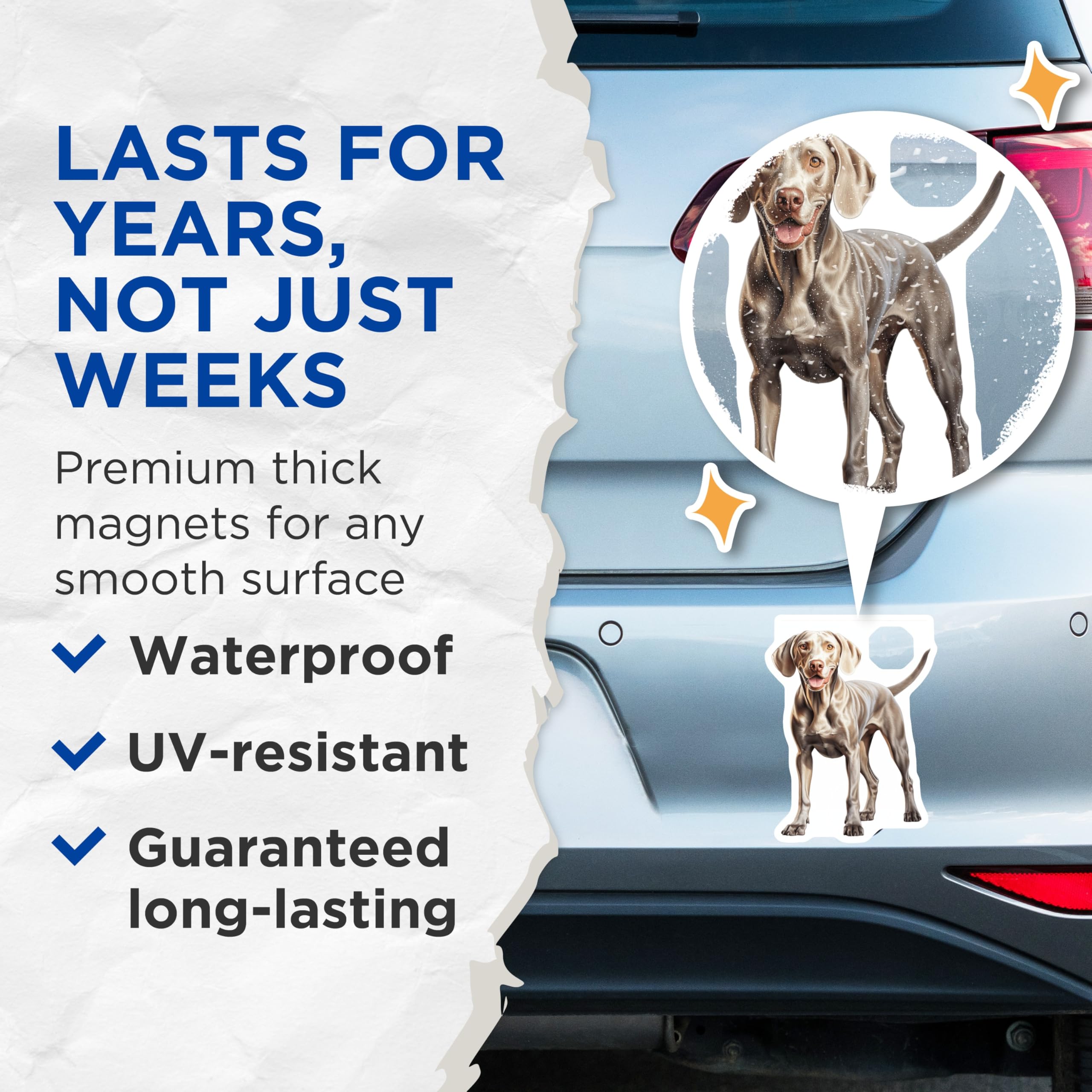 (2 Pack) Weimaraner Magnets - Happy Dog Breed Decor - Pet Owner Refrigerator Art - 5 Inches On Longest Side - Thick Durable Magnet - Made in USA - MAG30404
