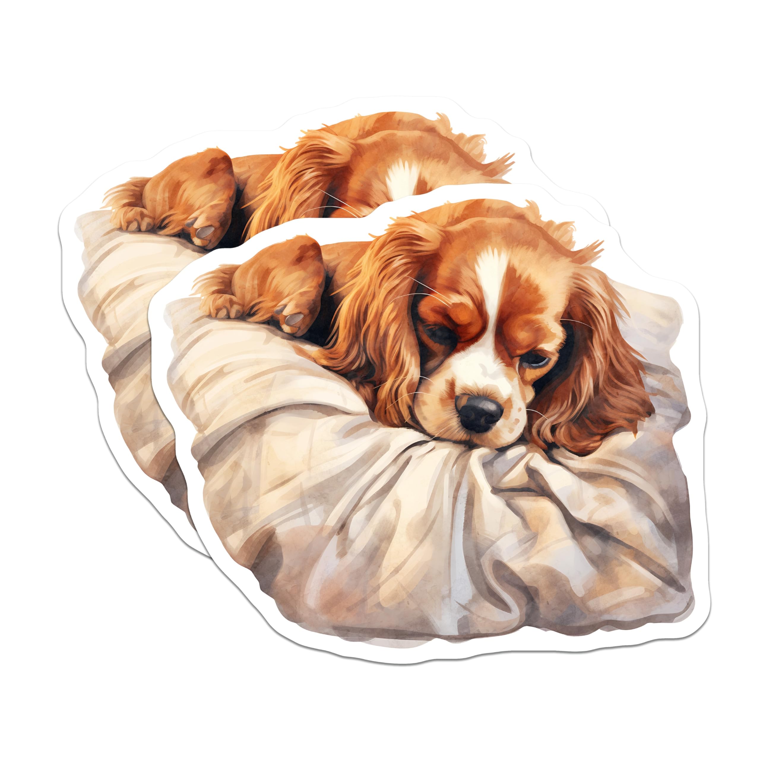 (2 Pack) Cavalier Spaniel Magnets - Sleeping Dog Breed - Refrigerator Decor - 5" On Longest Side - Premium Magnet - for Cars, Refrigerators, Toolboxes, Lockers - Made in USA - MAG17097