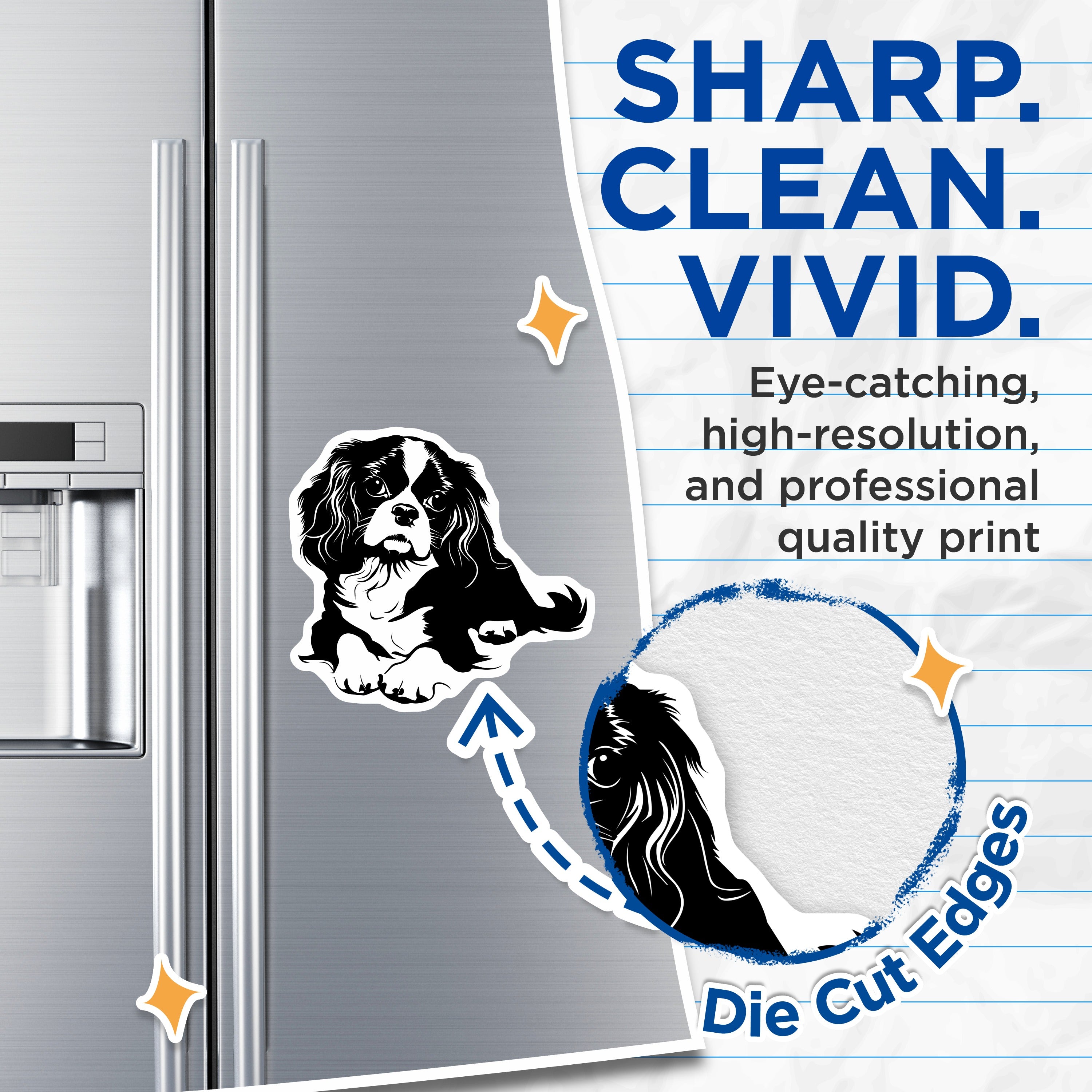 (2 Pack) Cavalier Spaniel Magnets - King Charles Dog Decor - Pet Refrigerator Accent - Animal Graphic Collection - 5 Inches On Longest Side - Thick Durable Magnet - Made in USA - MAG36928
