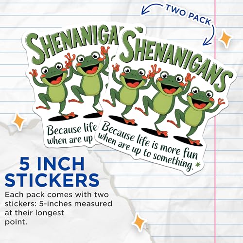 (2 Pack) Sheigans Frog Stickers - Fun Frog Art - Life Quote Stickers - 5" On Longest Side - Sticks to Smooth Flat Surfaces - Made in USA - BMCS6989