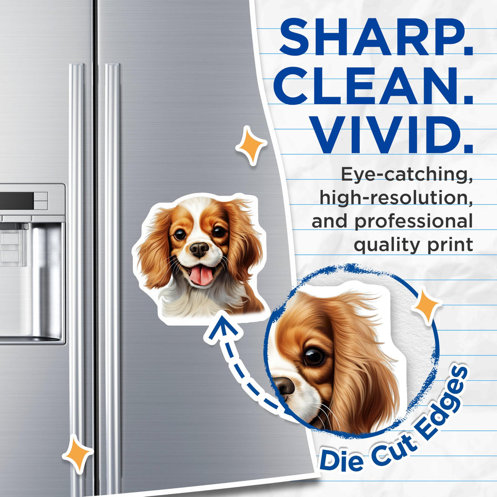 (2 Pack) Cavalier King Charles Spaniel Magnets - Cute Puppy Dog - Dog Lover Decor Pet Owner - 5 Inches On Longest Side - Thick Durable Magnet - Made in USA - MAG29949