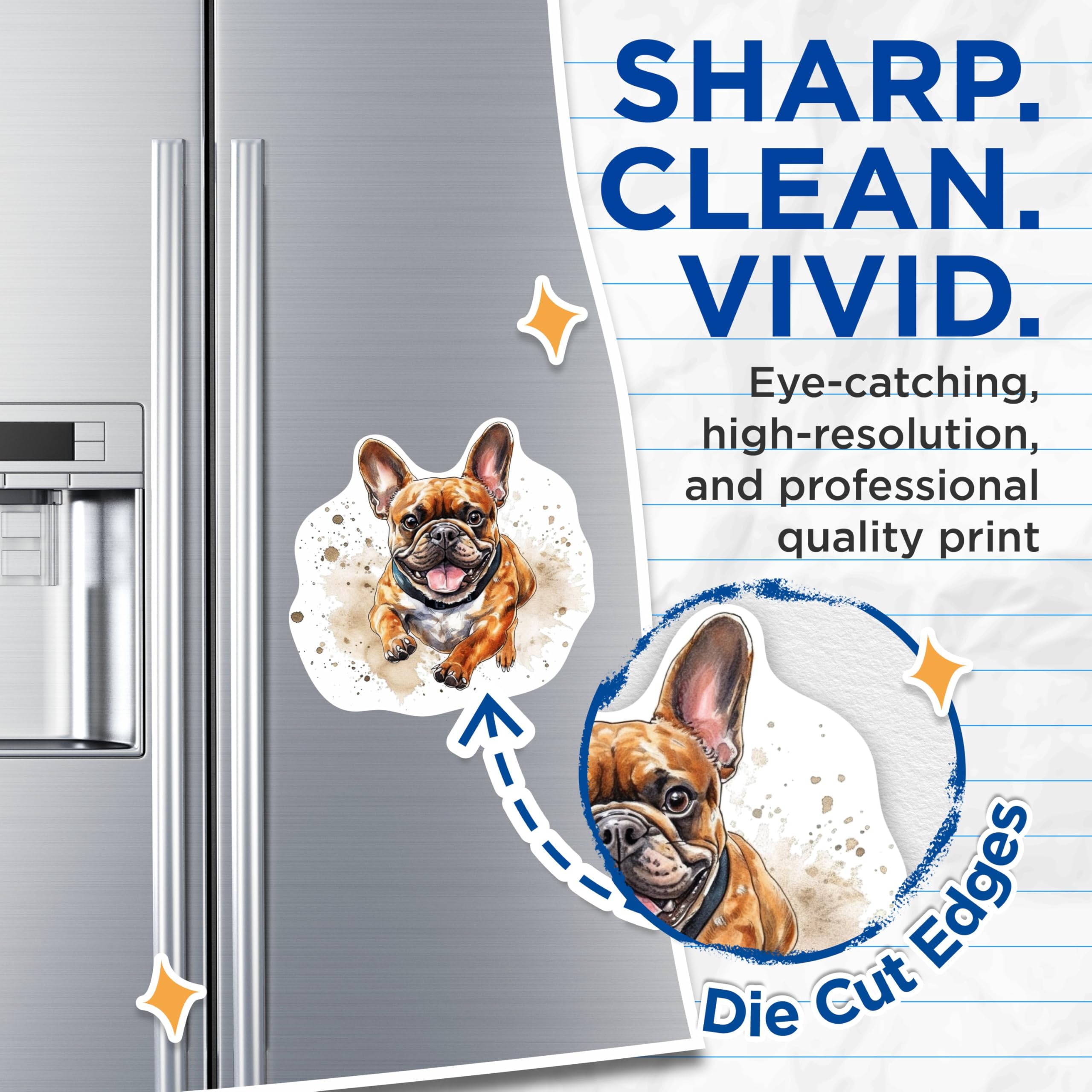 (2 Pack) French Bulldog Magnets - French Bulldog Dog Breed Magnets - Frenchie Breed - 5 Inches On Longest Side - Premium Magnet - for Cars, Refrigerators, Toolboxes - Made in USA - MAG2191