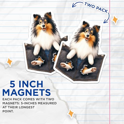 (2 Pack) Sheltie Dog Magnets - Cute Dog Refrigerator - Pet Lover Kitchen ation - 5" On Longest Side - for Cars, Fridges, Toolboxes - Made in USA - MAG4400