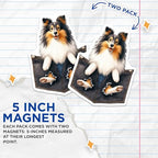 (2 Pack) Sheltie Dog Magnets - Cute Dog Refrigerator - Pet Lover Kitchen ation - 5" On Longest Side - for Cars, Fridges, Toolboxes - Made in USA - MAG4400