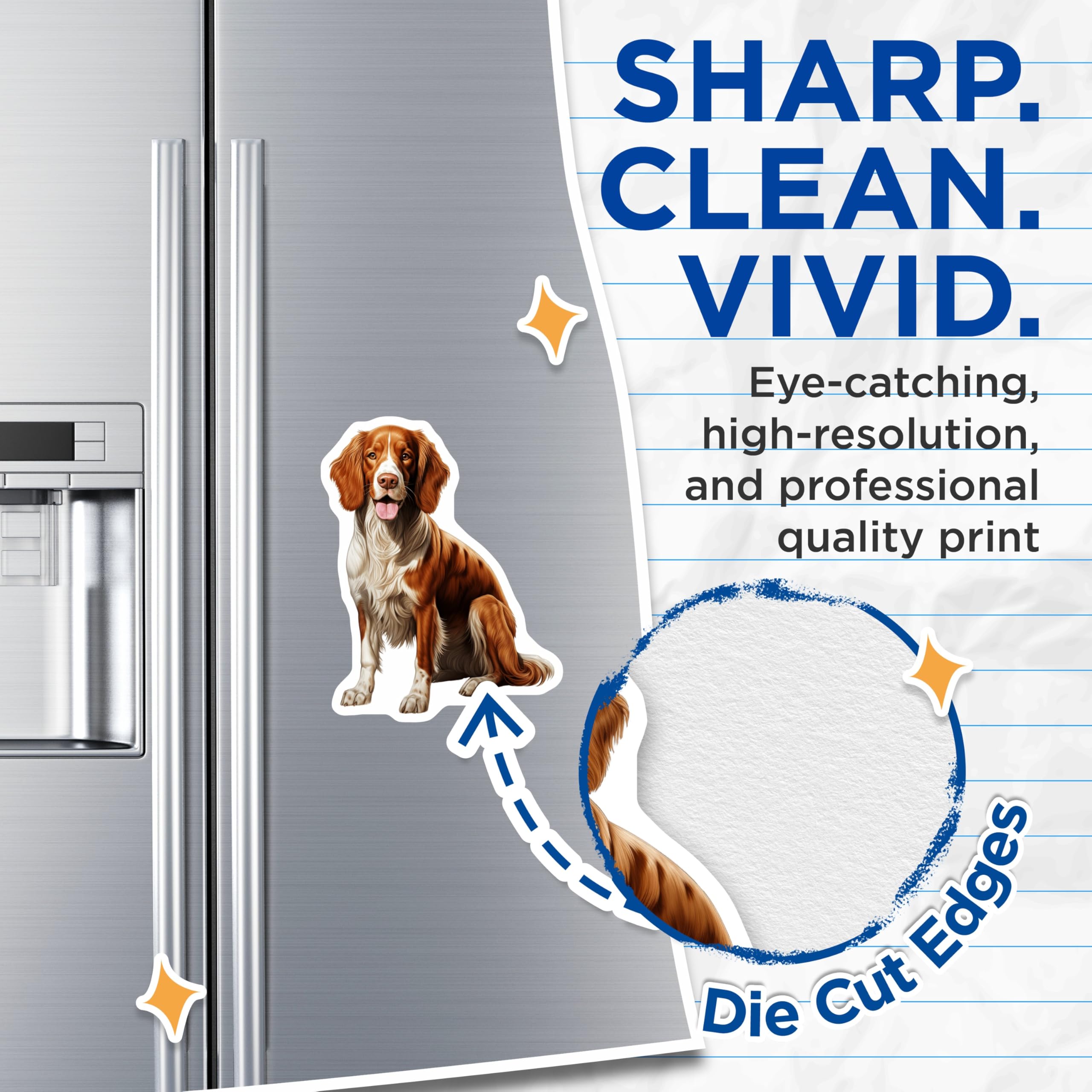 (2 Pack) Springer Spaniel Dog Magnets - Adorable Pet Lover Home Decor - Realistic Brown White Canine Art - 5 Inches On Longest Side - Thick Durable Magnet - Made in USA - MAG29319