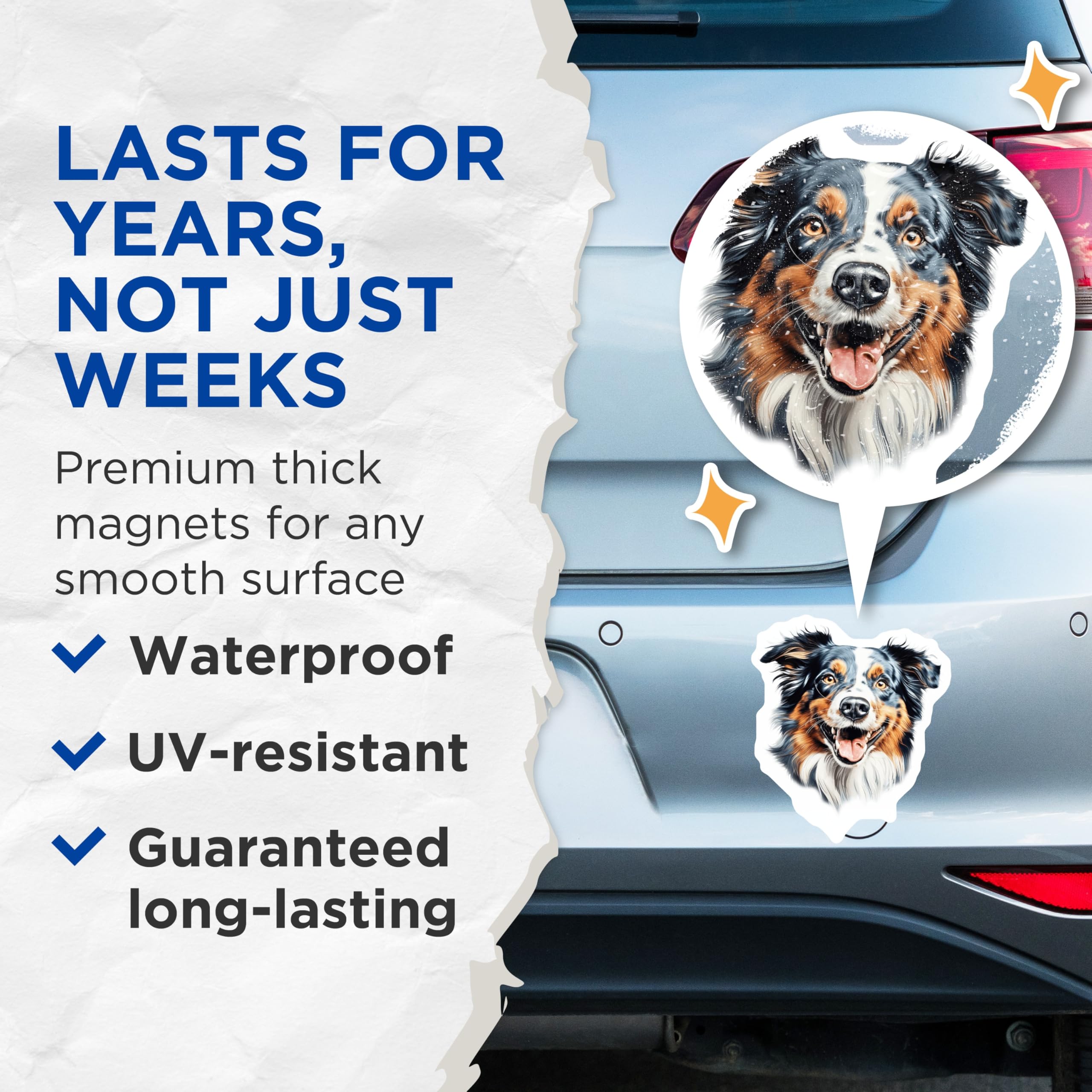 (2 Pack) Australian Shepherd Magnets - Aussie Dog Lover Decor - Pet Parent Refrigerator Art - 5 Inches On Longest Side - Thick Durable Magnet - Made in USA - MAG28217