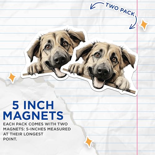 (2 Pack) Animal Lover Decor Magnet - 5" On Longest Side - Sticks to Smooth Flat Surfaces - Made in USA - MAG9834