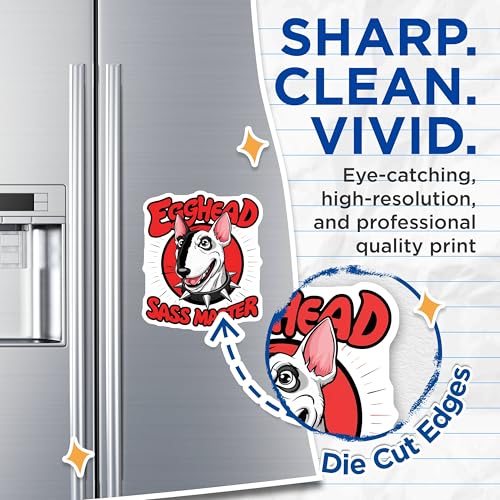 (2 Pack) Egghead Sass Master Magnets Magnets - 5" On Longest Side - Made in USA - Sticks to Refrigerators & Metal Surfaces - MAG8533