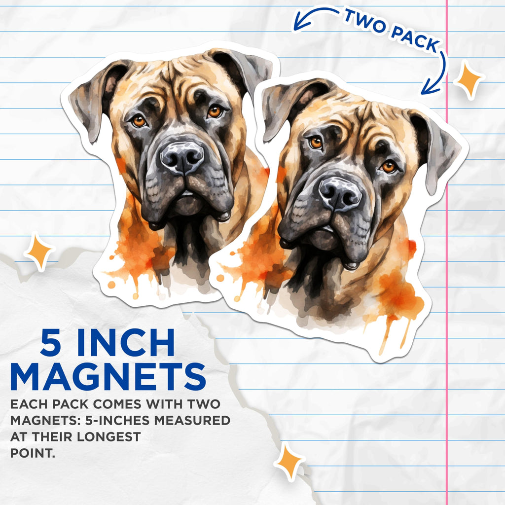 (2 Pack) Bullmastiff Magnets - Watercolor Dog Art - Large Brindle Dog Fridge Decor - 5 Inches On Longest Side - Thick Durable Magnet - Made in USA - MAG29622