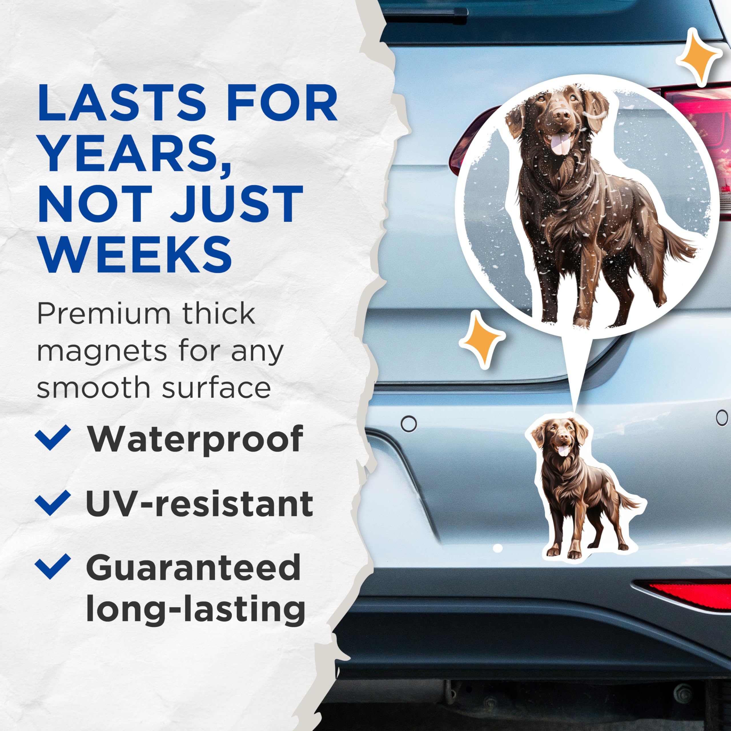 (2 Pack) Flat Coated Retriever Magnets - Brown Dog Art - Happy Pet Owner Fridge Decor - Dog Mom Dad Item - 5 Inches On Longest Side - Thick Durable Magnet - Made in USA - MAG28886