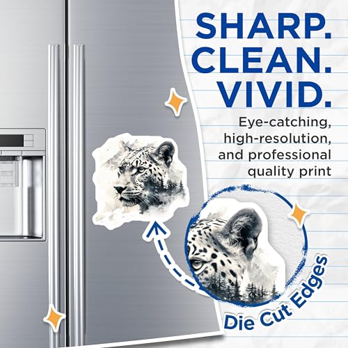 (2 Pack) Wild Leopard Magnets - Jungle Cat - Animal Art - Nature Decals - Wildlife - Safari Theme - Home Office - 5" On Longest Side - for Cars, Fridges, Toolboxes - Made in USA - MAG3799