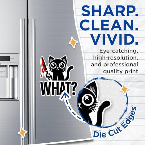 (2 Pack) Funny Cat Magnets - What Cat Magnets - Cat Humor Magnets for Fridge or Locker- 5" On Longest Side - for Fridges, Toolboxes, Cars - Made in USA - MAG2802