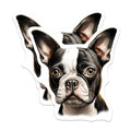 (2 Pack) Boston Terrier Magnets - Dog Breed Art - Pet Owner Appreciation - Animal Lover Decor - Cute Dog Fridge Magnet - 5 Inches On Longest Side - Thick Durable Magnet - Made in USA - MAG28628