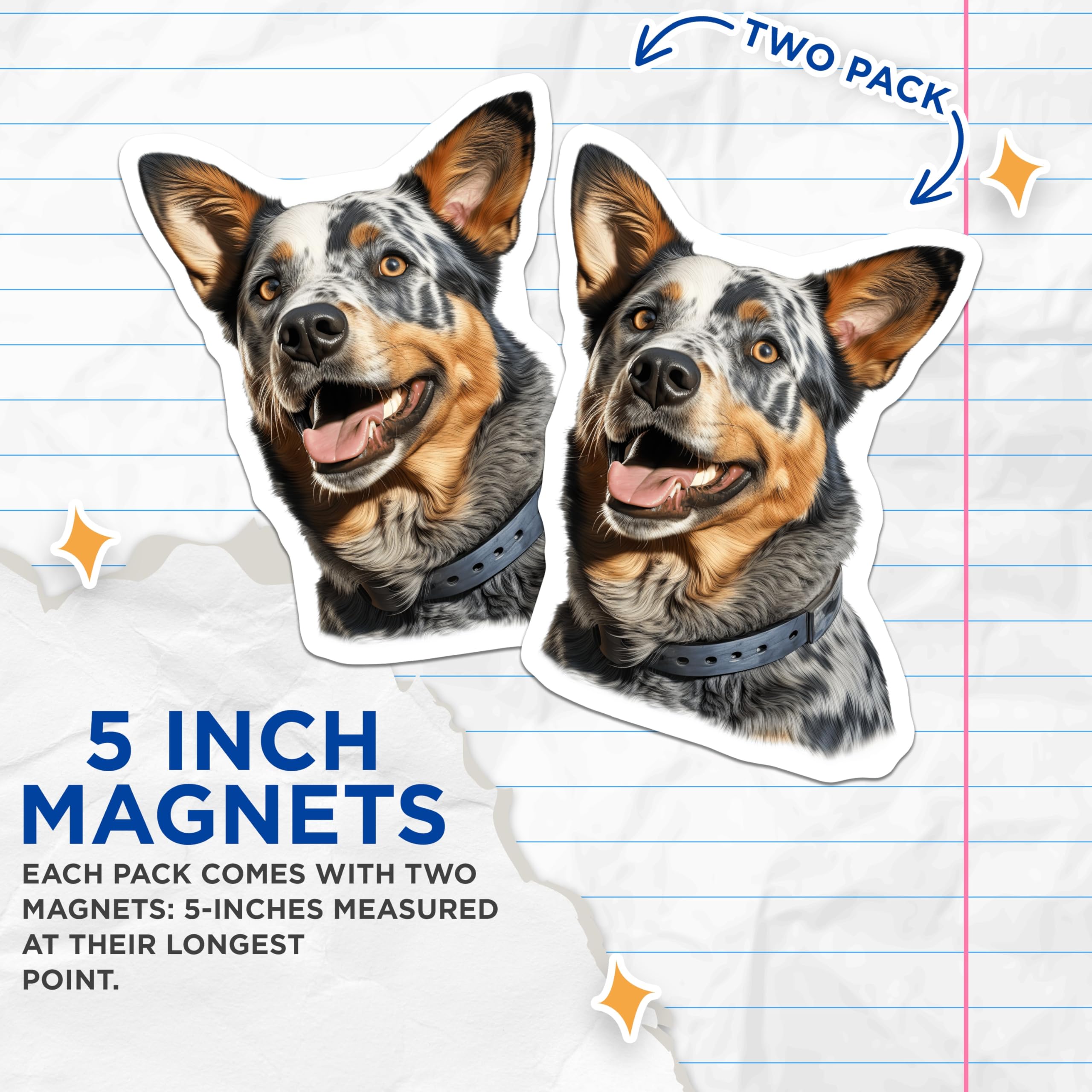 (2 Pack) Blue Heeler Dog Magnets - Australian Cattle Dog Art - Pet Lover Fridge Decor - Farm Ranch Gift - 5 Inches On Longest Side - Thick Durable Magnet - Made in USA - MAG30664