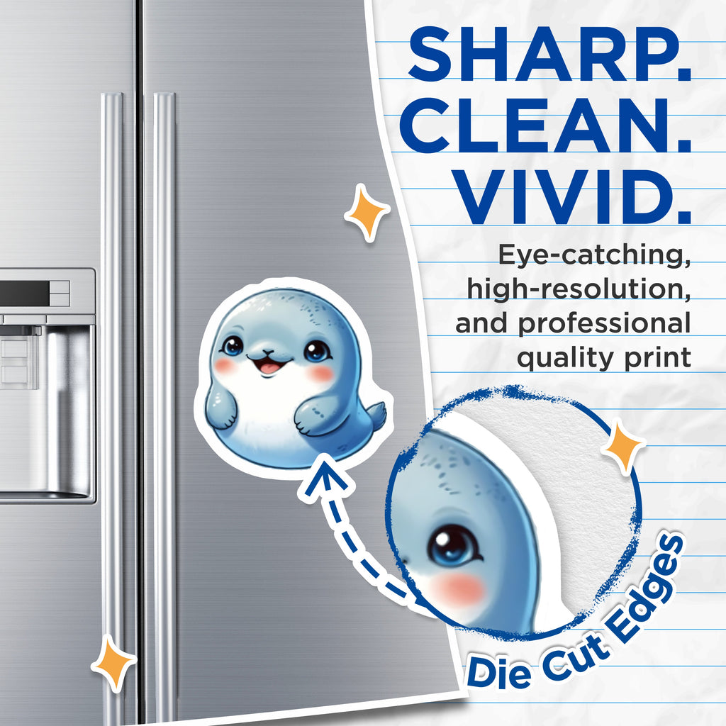 (2 Pack) Cute Baby Seal Magnets - Kawaii Animal Fridge Magnets - Sea Life Locker Decor for Kids - 5 Inches On Longest Side - Thick Durable Magnet - Made in USA - MAG36198