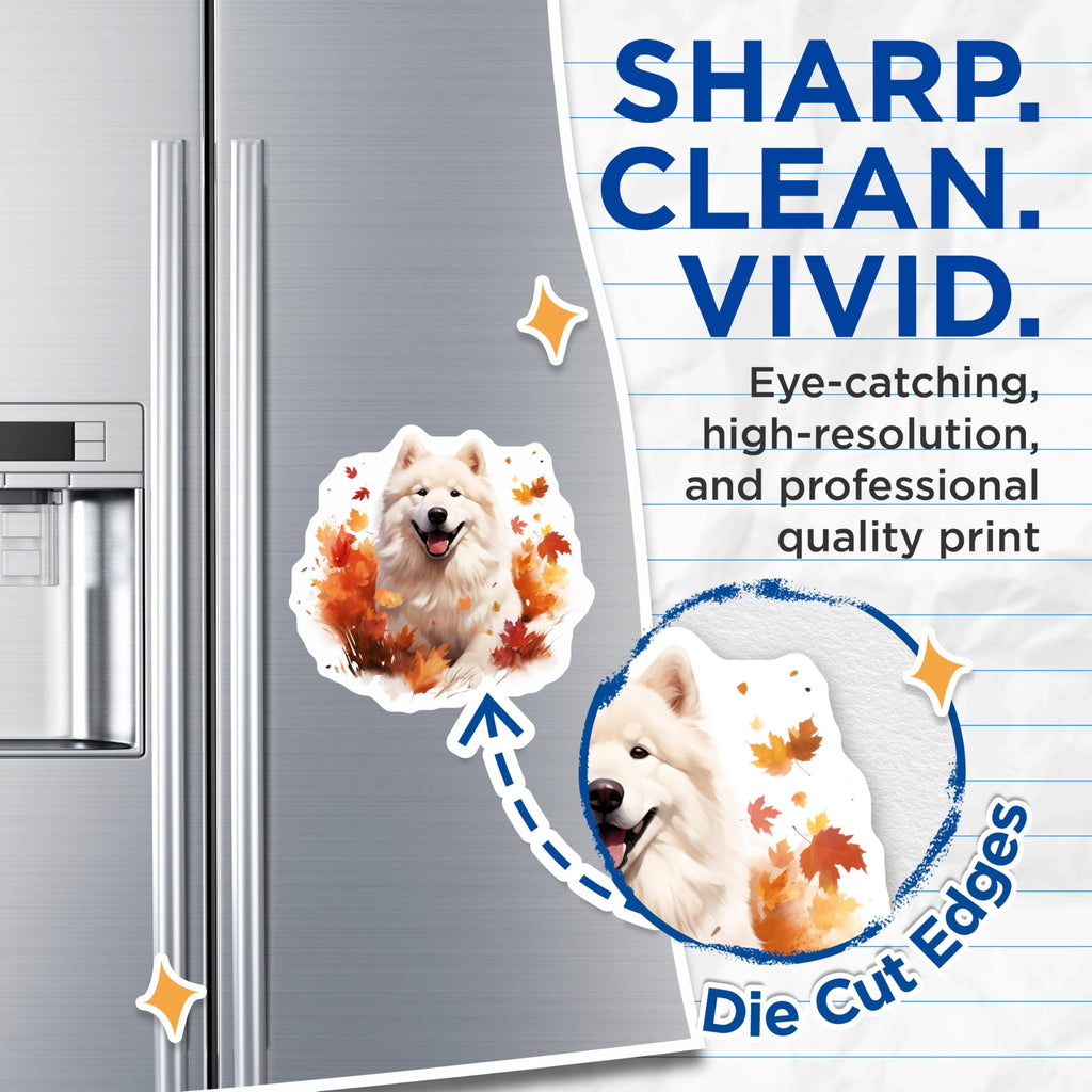 (2 Pack) Samoyed Dog Magnets - Happy Pup Autumn Leaves - Fall Decor Refrigerator - 5 Inches On Longest Side - Thick Durable Magnet - Made in USA - MAG24582