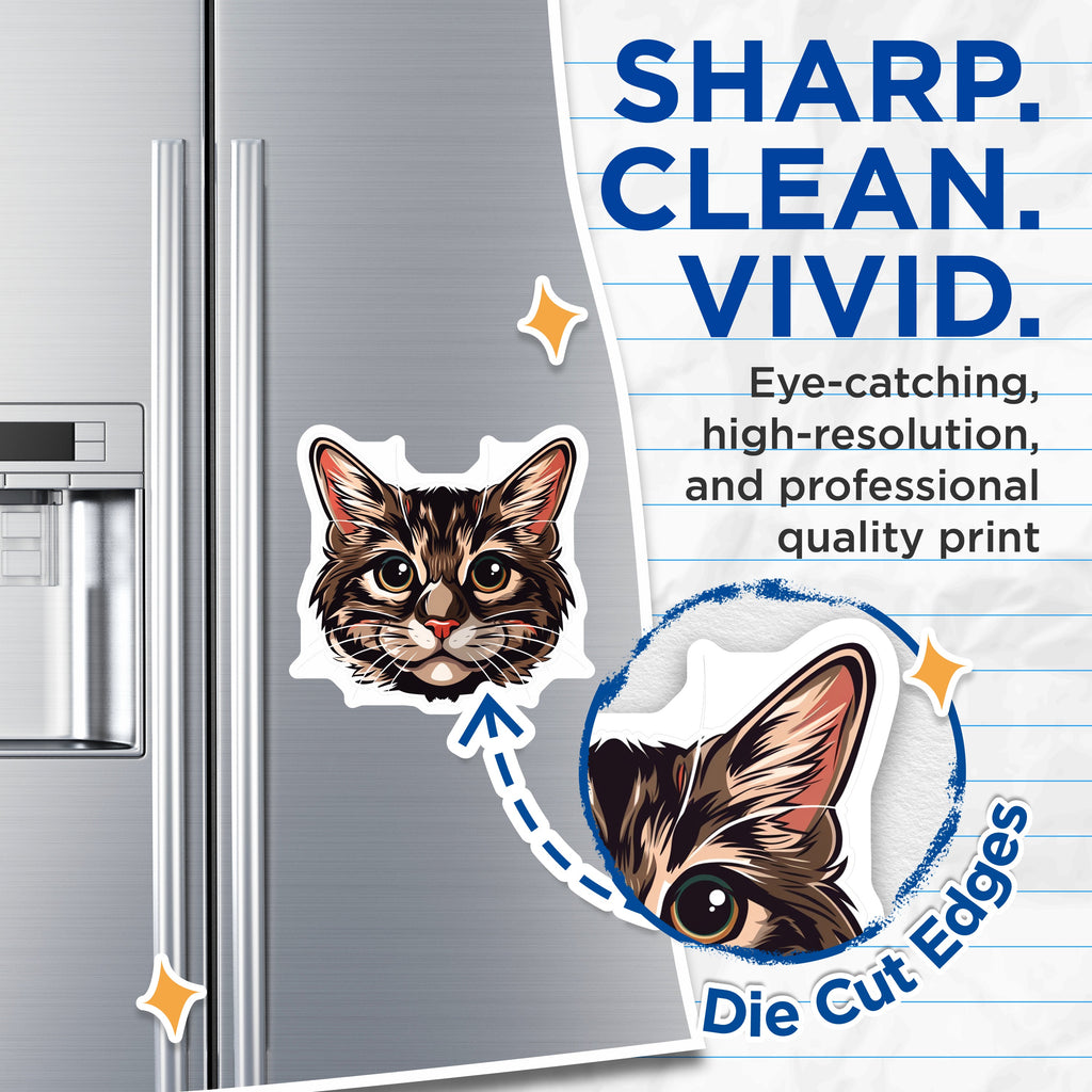 (2 Pack) Cute Tabby Cat Face Magnets - Pet Lover Refrigerator Feline Kitchen Decor - Cat Mom Car Magnets - 5 Inches On Longest Side - Thick Durable Magnet - Made in USA - MAG37521