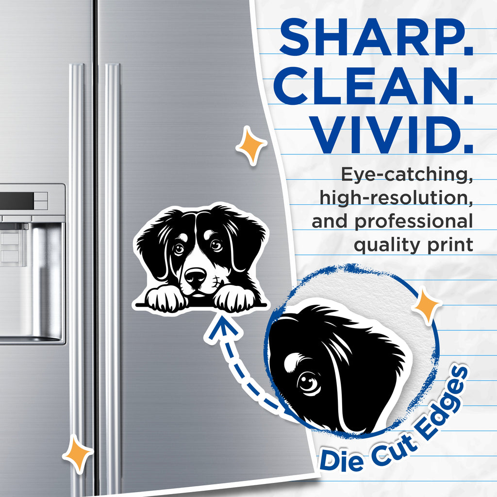 (2 Pack) Bernese Mountain Dog Magnets - Cute Puppy Fridge Decor - Dog Lover Kitchen Accessories - 5 Inches On Longest Side - Thick Durable Magnet - Made in USA - MAG38386