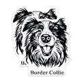 (2 Pack) Border Collie Magnets - Dog Lover Magnets - Pet Magnets - 5" On Longest Side - for Cars, Fridges, Toolboxes - Made in USA - MAG4023