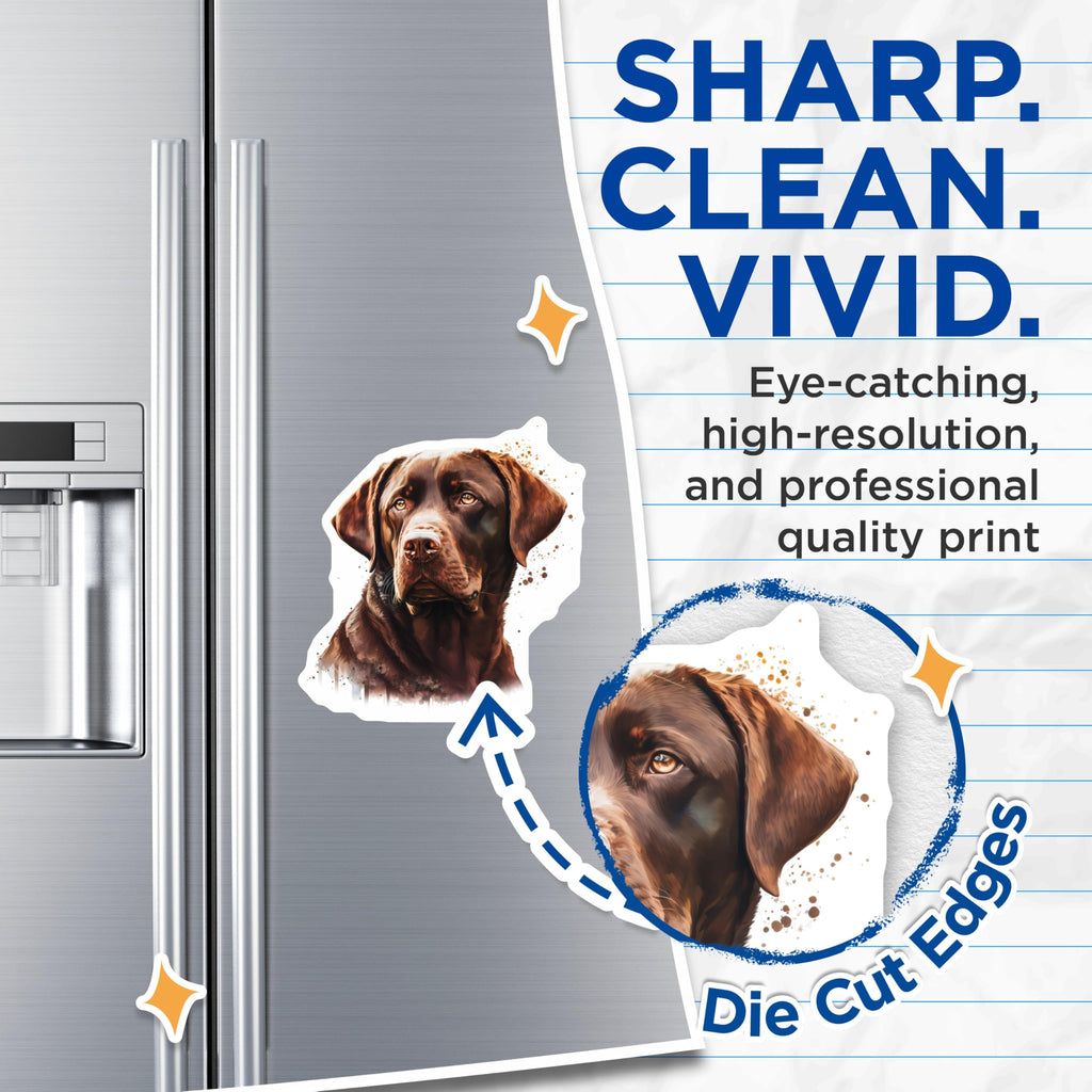 (2 Pack) Chocolate Lab Dog Lover Magnets - Labrador Retriever Art - Pet Parent Decor - 5 Inches On Longest Side - Thick Durable Magnet - Made in USA - MAG30334