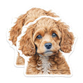 (2 Pack) Cute Cavapoo Puppy Magnets - Dog Lover Accessory - Pet Owner Essential - Adorable Canine Art - 5 Inches On Longest Side - Thick Durable Magnet - Made in USA - MAG29282