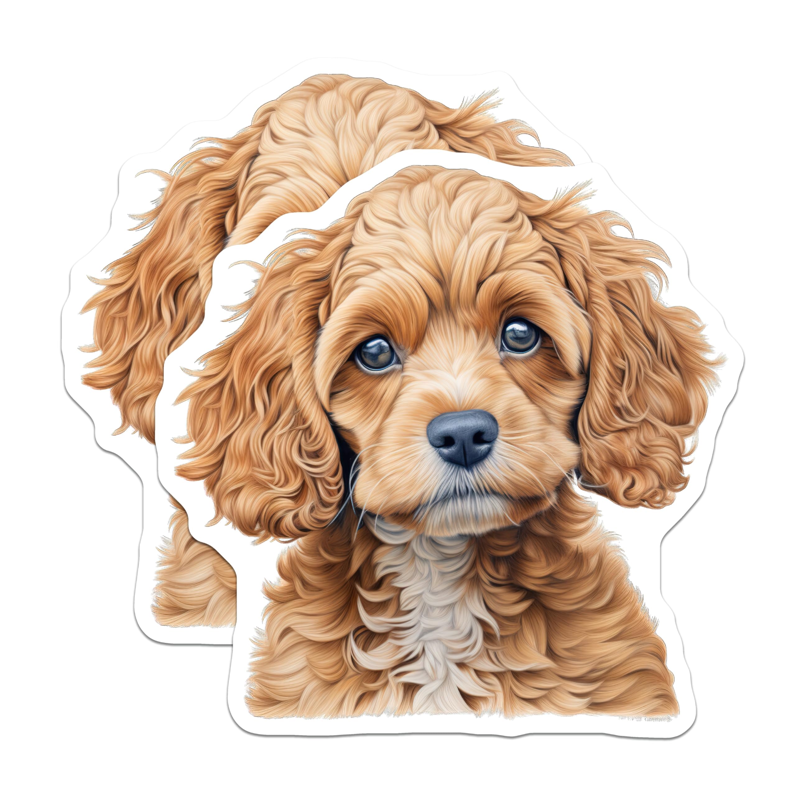 (2 Pack) Cute Cavapoo Puppy Magnets - Dog Lover Accessory - Pet Owner Essential - Adorable Canine Art - 5 Inches On Longest Side - Thick Durable Magnet - Made in USA - MAG29282