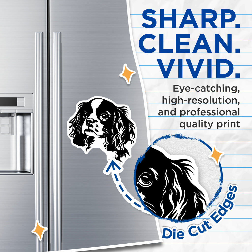 (2 Pack) Cavalier King Charles Spaniel Magnets - Dog Mom Decor - Pet Owner Accessory - Minimalist Dog Art - 5 Inches On Longest Side - Thick Durable Magnet - Made in USA - MAG39434
