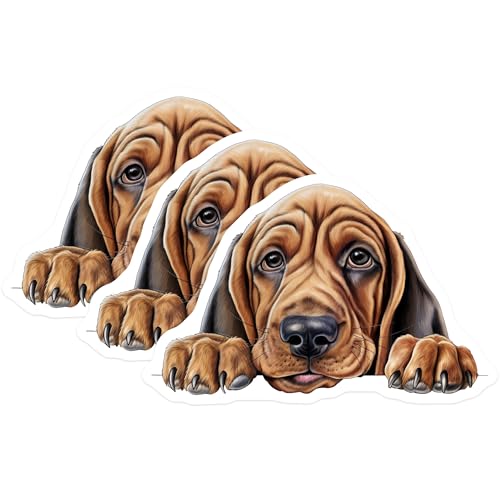 (3 Pack) Bloodhound Dog Decals - Cute Puppy Stickers - Pet Lover Decals - 3 Inches On Longest Side - Easy Peel & Apply - Made in USA - 3MCS8638