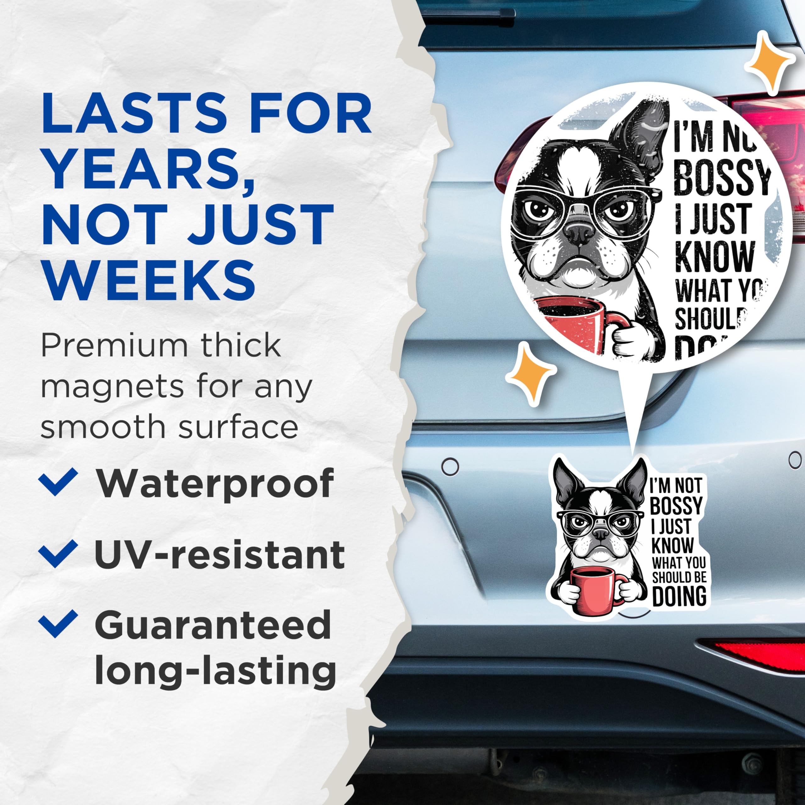 (2 Pack) Boston Terrier Magnets - Funny Dog Mom Dad Boss Quote - Coffee Drinker Humor Decor - Refrigerator Fridge Magnet - 5 Inches On Longest Side - Thick Durable Magnet - Made in USA - MAG22496