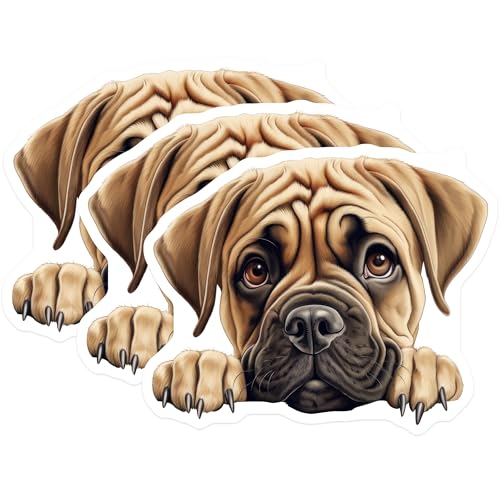 (3 Pack) Bullmastiff Decals - Cute Dog Stickers - Laptop Decor - 3 Inches On Longest Side - Easy Peel & Apply - Made in USA - 3MCS8657