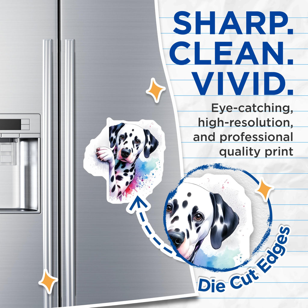 (2 Pack) Dalmatian Dog Magnets - Cute Animal Magnet - Refrigerator Magnets - Dog Lover Gift - 5" On Longest Side - Premium Magnet - for Cars, Refrigerators, Toolboxes, Lockers - Made in USA - MAG16296