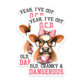 (2 Pack) Funny Cow Magnets - OCD Old Cranky Magnets - Cute Animal Magnets - 5" On Longest Side - Premium Magnet - for Cars, Refrigerators, Toolboxes, Lockers - Made in USA - MAG16991