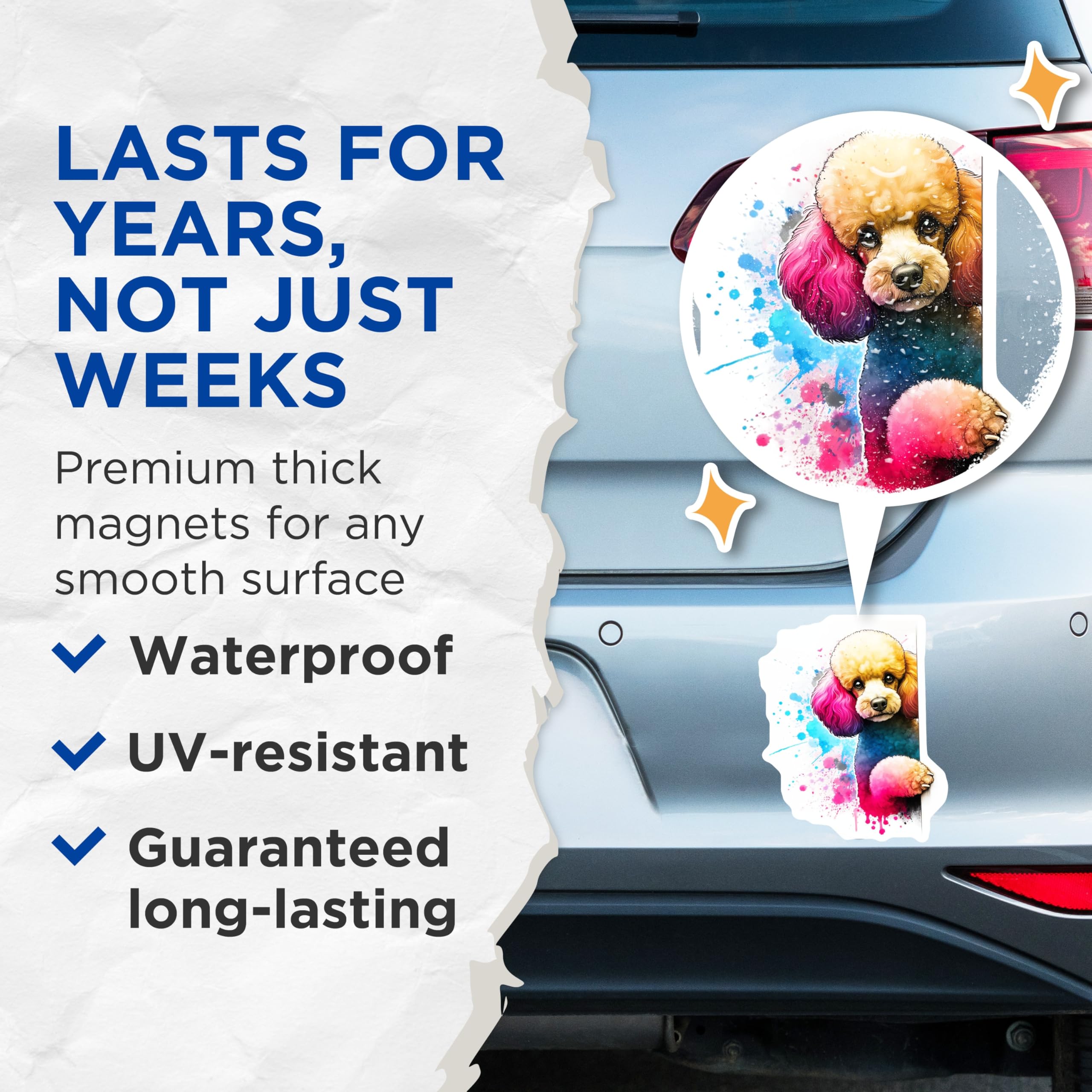 (2 Pack) Poodle Dog Magnets - Watercolor Poodle - Fun Pet Artwork - 5" On Longest Side - Premium Magnet - for Cars, Refrigerators, Toolboxes, Lockers - Made in USA - MAG15044