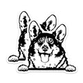 (2 Pack) Corgi Dog Face Stickers - Cute Pet Dog Stickers - Funny Animal Decals - 5" On Longest Side - Sticks to Smooth Flat Surfaces - Made in USA - BMCS4044
