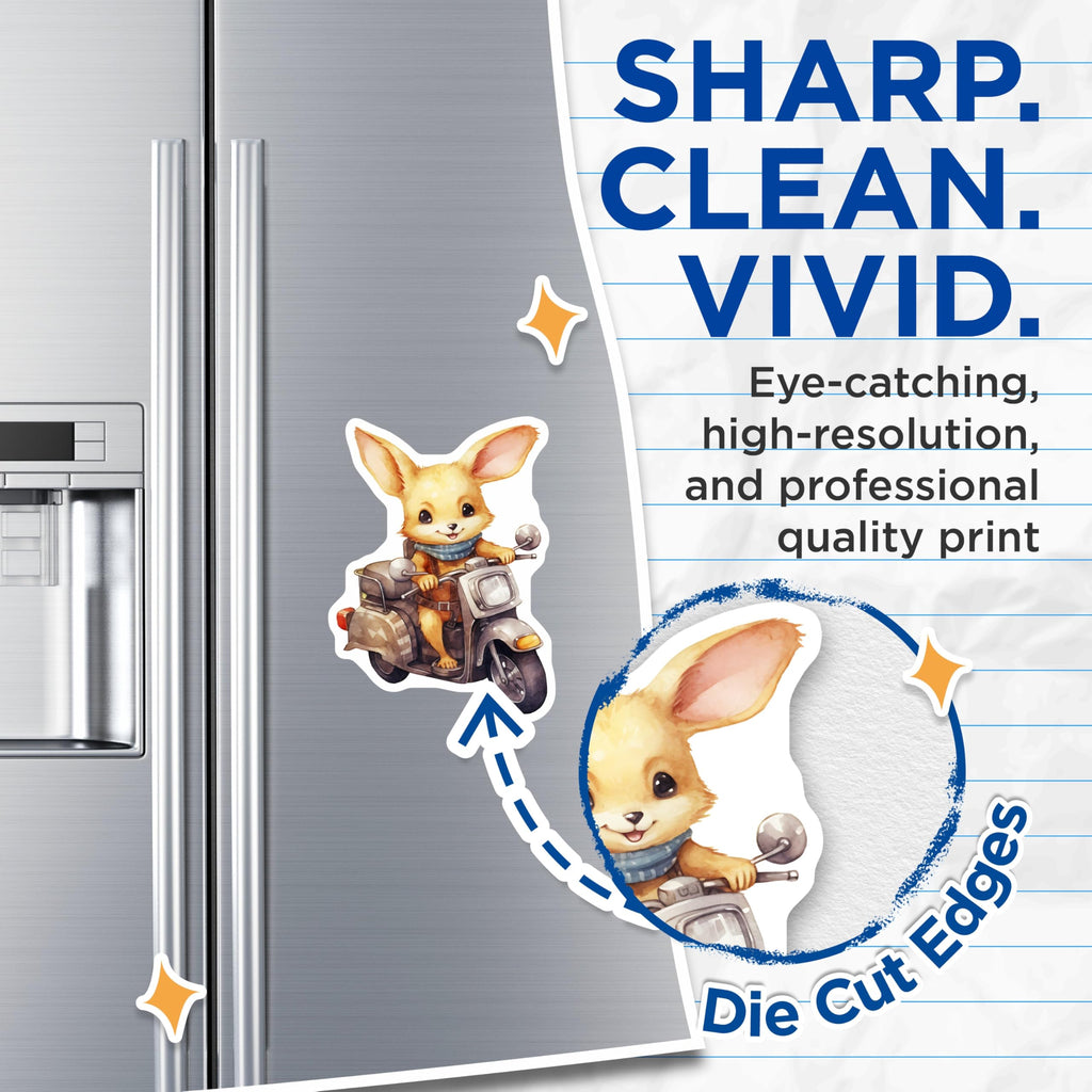 (2 Pack) Fennec Fox Magnets - Cute Animal Illustration - Scooter Art for Fridge Decor - 5" On Longest Side - Premium Magnet - for Cars, Refrigerators, Toolboxes, Lockers - Made in USA - MAG16761
